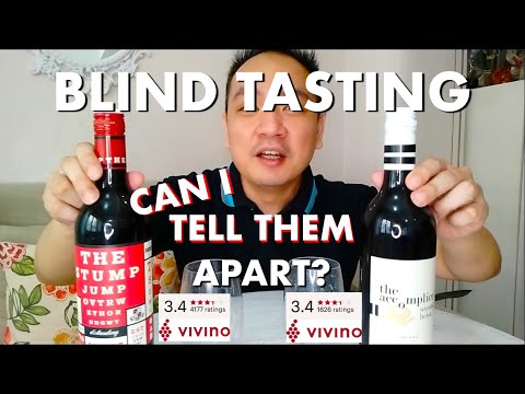 AMATEUR BLIND WINE TASTING! 🍷🍷 DO I GET IT RIGHT???