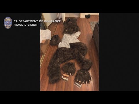 Multiple people arrested after faking bear attacks for insurance payout