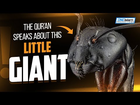 The Qur'an Speaks About This Little Giant!