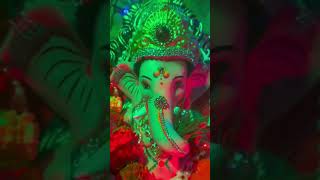 Ganpati celebration #wisdomstory #ganpatibappa #ganpaticelebration