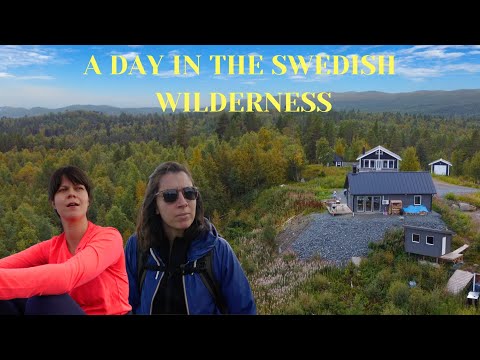 We tried living in a remote cabin in Lapland, Sweden