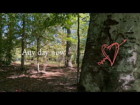 Zac Brown Band & Ingrid Andress - Any Day Now (Lyric Video)