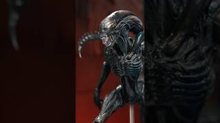 AWESOME Alien Figure 🔥 - Hot Toys Alien Romulus