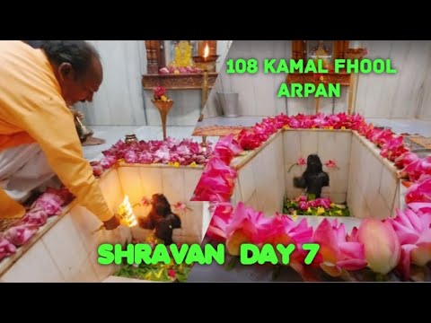 Shravan day 7 || mahadev 108 kamal fhool arpan aarti 🙏 #mahadev #shravan #vlog #daylivlog