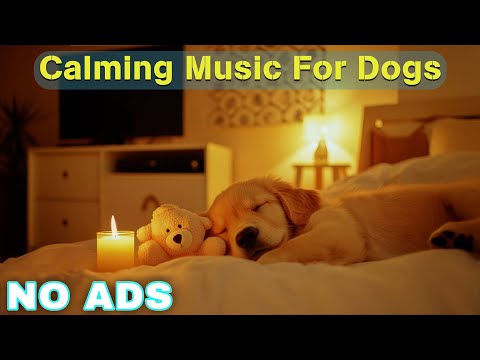 12 Hours of Dog Calming Music for Dogs 🎵 Dog Sleep Music 🐶 Separation Anxiety Relief Music ⭐No Ads