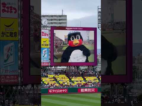 ヤクルトvs楽天 つば九郎 試合前フリップ芸 【交流戦2024】【20240602】