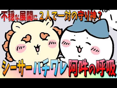 【ちいかわ考察】シーサーとハチワレ、珍しい２人が怪しげな提灯に誘われる…【最新話】