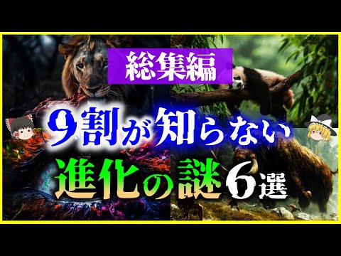 【ゆっくり解説】【総集編】人類の進化にも深く関わる「進化の謎」6選を解説/寿命、視覚、皮膚、睡眠、二足歩行、生肉＜睡眠用＞＜作業用＞