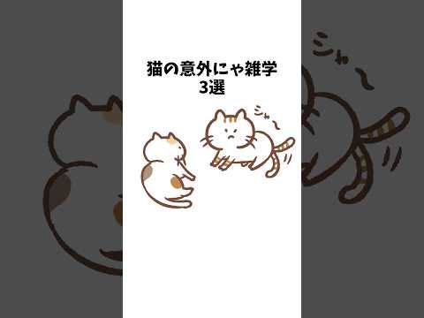 【1分雑学】猫の意外にゃ雑学3選#shorts#猫