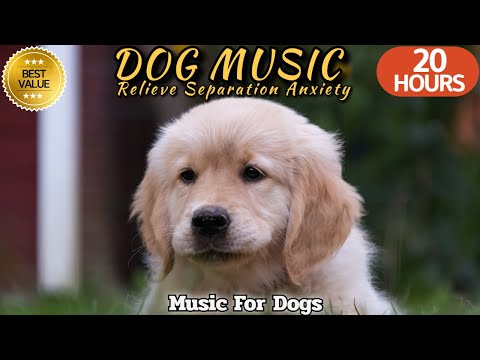 20 HOURS of Dog Calming Music🐶🎵Dog Separation Anxiety Relief🐶💖Dog TV Music⭐Healingmate