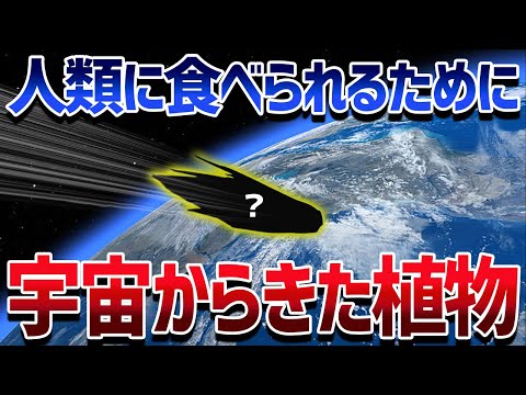 人間の助けなしには育つことすらできず祖先もいない宇宙からやってきた謎過ぎる植物【ゆっくり解説】