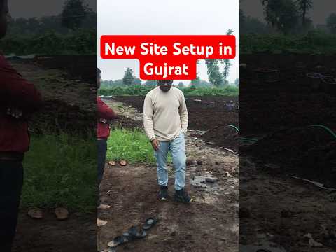 New Site Setup in Gujrat #vermiculture #farming #organic #travel #vermiculture #agricuture