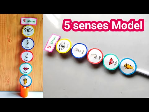 Five sense Model making idea | How to make Five sense model | Five Sense school project