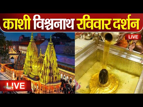 Live : Kashi Vishwanath Temple काशी विश्वनाथ मंदिर से दर्शन || Kashi Vishwanath Temple Varanasi