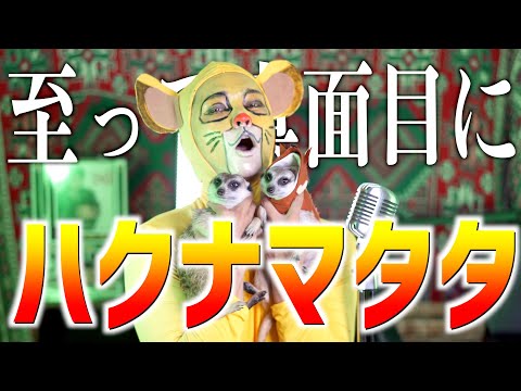 【至って真面目に】相棒と"ハクナマタタ"歌いました【ライオンキング】