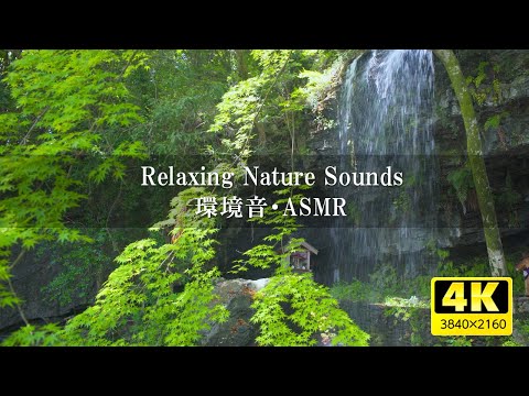 [Environmental sound / ASMR] Waterfall sound 3 hours / healing / relaxing effect