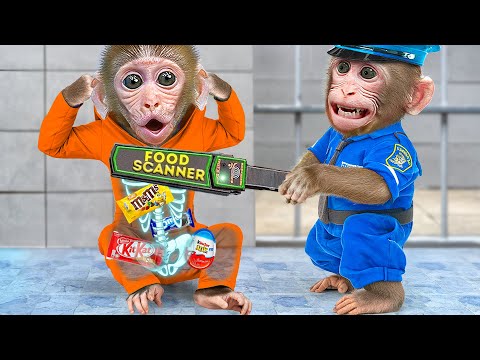 KiKi Monkey sneak Rainbow Food into the jail with Rainbow Fruit Jelly Ice Cream | KUDO ANIMAL KIKI