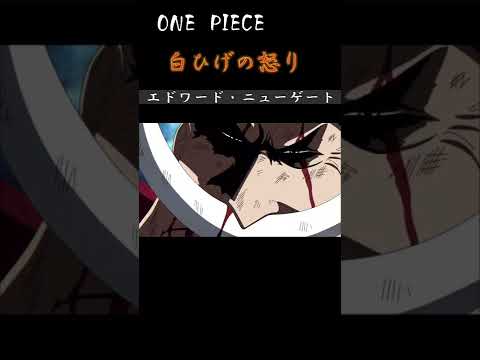 【ワンピース】白ひげの怒り  第484話 #shorts #amv