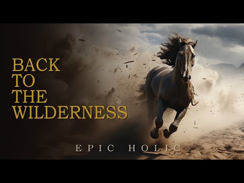 Back to the Wilderness | Most Powerful Background Music | Motivational Music