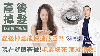 產後掉髮能快速改善？！現在就跟著做！毛囊壞死 那就沒救！｜林易寰 中醫師｜