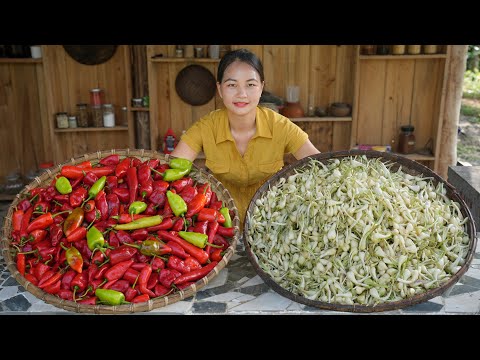 First palanquin harvest season, preserving the palanquin - Amazing cooking video