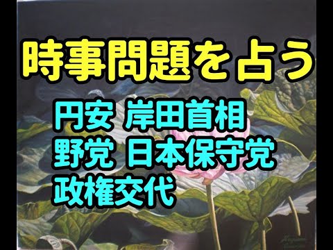 タロット占い　時事問題特集－円安、政権交代など