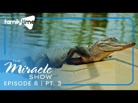 Richard & Louise | William Freund | The Miracle Show | S1E6 Part 3