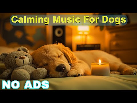 12 Hours of Dog Calming Music for Dogs 🎵 Dog Sleep Music 🐶 Separation Anxiety Relief Music ⭐No Ads