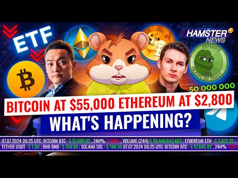 Weekly Recap: Bitcoin dips, Ethereum ETFs and Hamster milestones 🐹 Hamster News