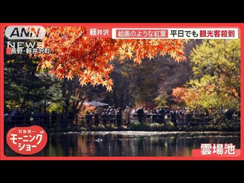 軽井沢の絶景“絵画のような紅葉”　観光客で大混雑…地元住民「家まで10分が1時間」【羽鳥慎一モーニングショー】(2024年11月13日)