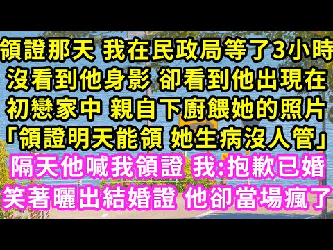 領證那天 我在民政局等了3小時，沒看到他身影 卻看到他出現在初戀家中 親自下廚餵她的照片「領證明天能領 她生病沒人管」隔天他喊我領證 我:抱歉已婚笑著曬出結婚證 他卻當場瘋了#甜寵#灰姑娘#霸道總裁