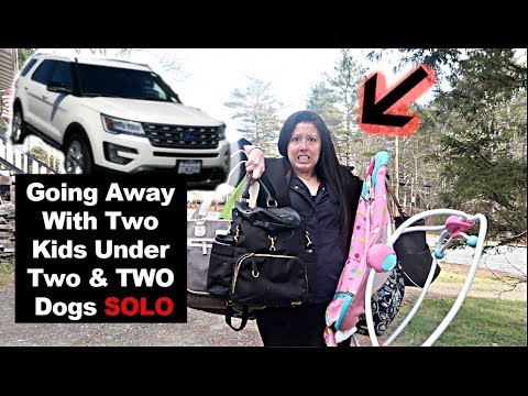 TRAVELING ALONE With Two Kids & Two Dogs 😭