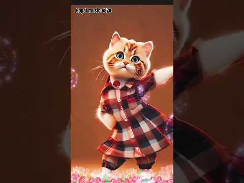 cat dance #trending #shorts #cat #funnycats #funny