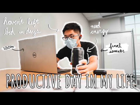 PRODUCTIVE DAY IN THE LIFE OF A PREMED | Online Classes :0, Search For Research, *Lost ID* 🧚Vlog🧚