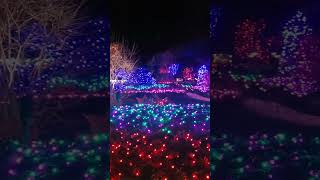 Truly merry and bright#ButchartGardens #VancouverIsland #ChristmasLights #Colours #MerryAndBright