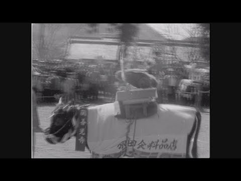 【懐かし映像】化粧牛大会に多くの人出　岐阜県関市【1963年3月21日】