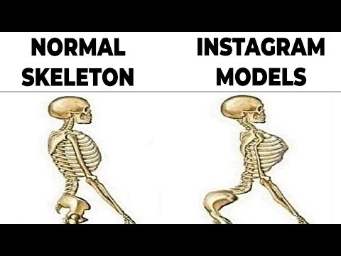 Memes That Teach Me Anatomy