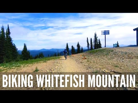 Downhill Mountain Biking at Whitefish Mountain Resort - Summer in Montana #whitefishmontana #montana