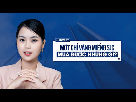 Bản tin 20/12: Vàng lên đỉnh lịch sử, USD cũng liên tục tăng | Z invest