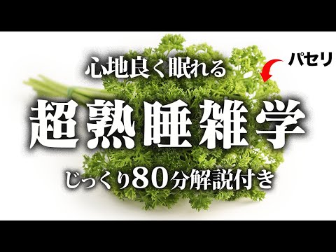 【睡眠用 雑学】超熟睡雑学【リラックス】面白いほど熟睡できる雑学をまとめました♪