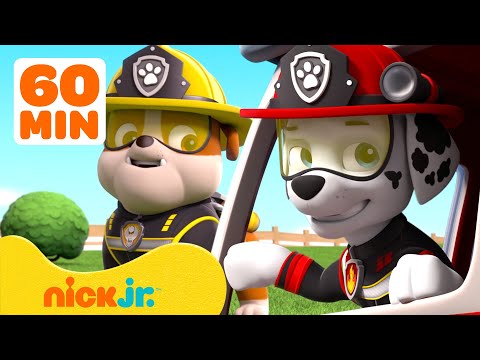 PAW Patrol NEW EPISODES Compilation! | 1 Hour |  Nick Jr.