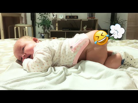 Cute Funny Baby Fart Moments Compilation - Funny Baby Videos