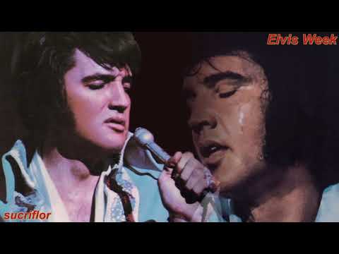 ELVIS PRESLEY -  I'LL NEVER FALL IN LOVE AGAIN