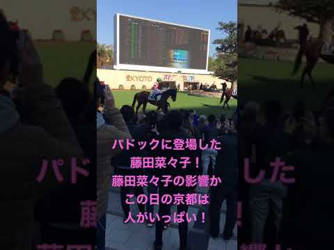 京都競馬場！パドックに藤田菜々子が！！　#shorts