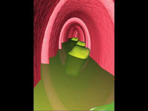 Digestive system-  peristaltic of small intestine (3D Animation)