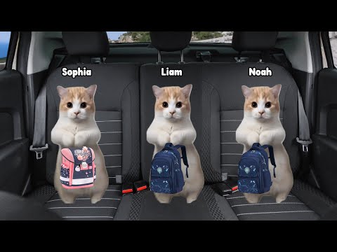 Cat Animation Road trip to Your House