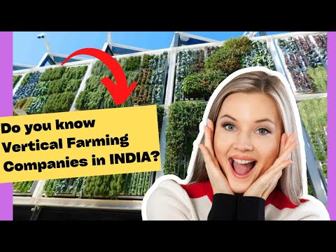 Top 20 Vertical Farming Companies in INDIA You Need To Know