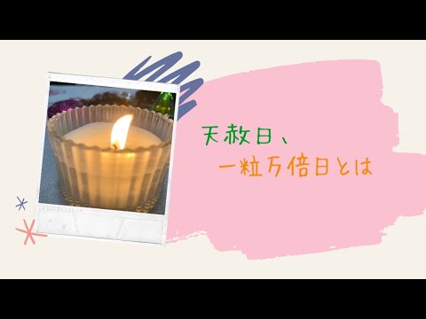 天赦日、一粒万倍日とは？🤔６月２０日、今年最後に２つが重なる最強幸運日に向けて‼️