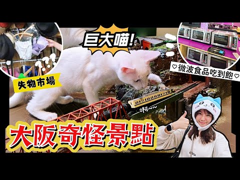 【魚乾】這些大阪特殊景點太有趣！鐵道上的巨貓/車站失物市場/微波食品吃到飽？