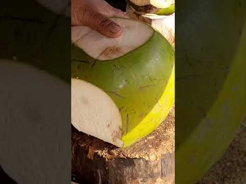 VERY SATISFYING COCONUT PEELING ASMR #satisfying #streetfood #youtubeshorts @GatchieJr33